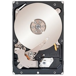 Seagate Constellation ES.2 ST33000650SS