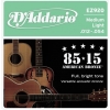 Струни для акустичної гітари D'Addario EZ920