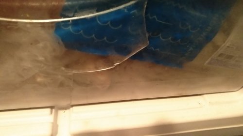 Фото Холодильник з морозильною камерою ATLANT ХМ 6025-100 від користувача Loki