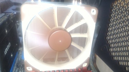 Фото Вентилятор Noctua NF-F12 PWM від користувача Naz