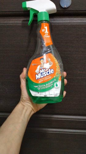 Фото Спрей для прибирання Mr Muscle Средство для мытья стекол Профессионал с курком с нашатырным спиртом 500 мл (4823002000153) від користувача Amina007