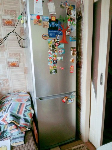 Фото Холодильник з морозильною камерою Samsung RL48RLBSW від користувача DSX 33222