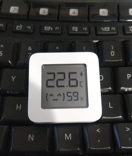 Фото Термогігрометр MiJia Bluetooth Thermometer 2 LYWSD03MMC від користувача mk