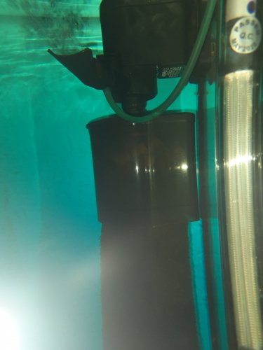 Фото Фільтр для акваріума Aquael Turbo Filter 2000 (109405) від користувача Оксана