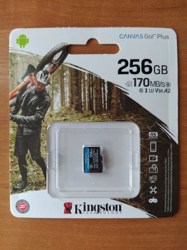 Фото Карта пам'яті Kingston 256 GB microSDXC class 10 UHS-I U3 Canvas Go! Plus SDCG3/256GBSP від користувача Isolar