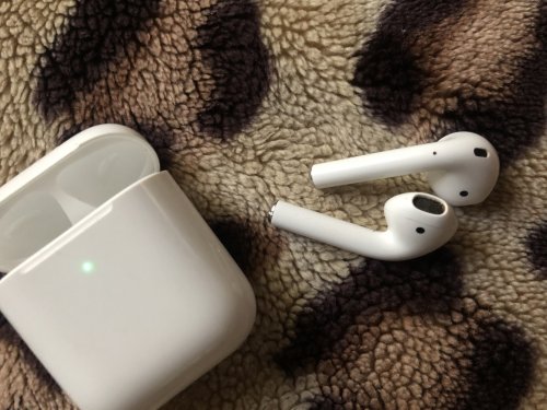 Фото Навушники TWS Apple AirPods with Wireless Charging Case (MRXJ2) від користувача Iryna