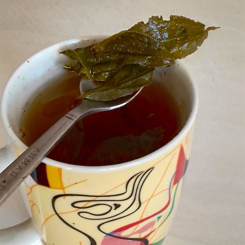 Фото зелений чай Hyleys English Green Tea 100г (4791045002314) від користувача Andy