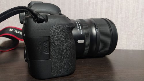 Фото Дзеркальний фотоапарат Canon EOS 6D Mark II body (1897C031) від користувача dr_ula
