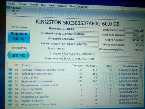 Фото SSD накопичувач Kingston SKC300S37A/60G від користувача Coconut