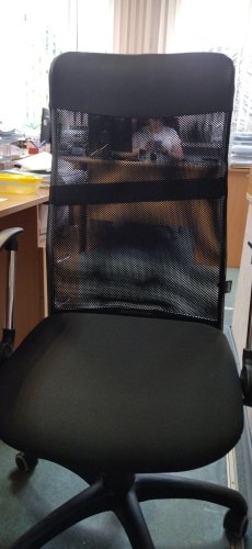 Фото Офісне крісло для персоналу Art Metal Furniture Ultra сиденье А-1/спинка Сетка черная, вставка Скаден черный (210037) від користувача Катруся