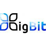 Логотип інтернет-магазина BigBit