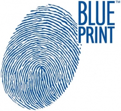 Гальмівний диск BLUE PRINT ADC44321