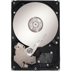 Seagate ST31000340AS - зображення 1