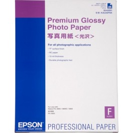 Epson Premium Glossy Photo Paper (C13S042091)