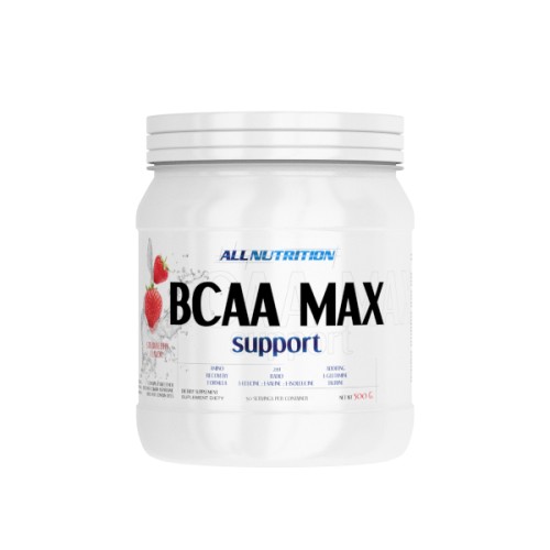 AllNutrition BCAA Max Support 500 g - зображення 1