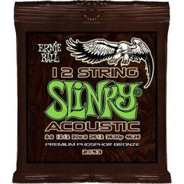 Ernie Ball P02153