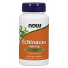 Now Echinacea 400 mg 100 caps - зображення 1