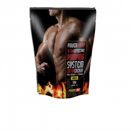 Power Pro Pumping System Extra Energy 500 g /20 servings/ Дюшес