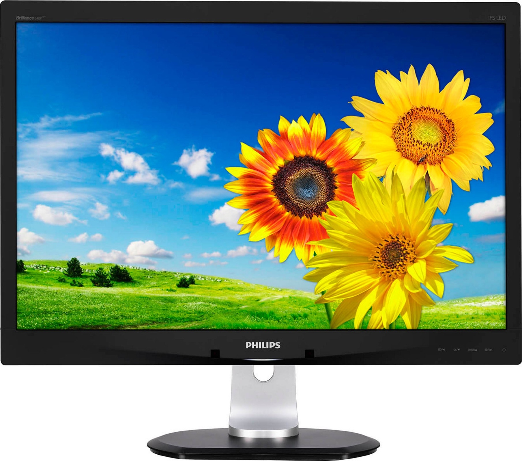 Philips 240P4QPYNB - зображення 1