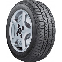   Toyo Vario V2 (175/70R14 84T)