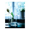 IKEA CYLINDER Набор ваз, 3 шт., прозрачное стекло (601.750.92) - зображення 4