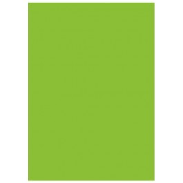 Lastolite тканевый Chromakey Green 3x3,5м (5781)