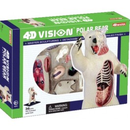 4D Master Белый медведь Анатомия животных (26097)