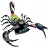 4D Master Скорпион Анатомия животных (26113) - зображення 2