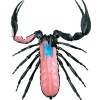 4D Master Скорпион Анатомия животных (26113) - зображення 3