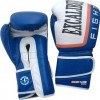 Excalibur Boxing Boxing Gloves Trainer 10 oz (0529-03-10) - зображення 2