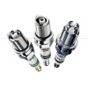 Bosch 242229926 - зображення 1