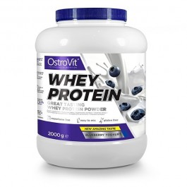 OstroVit Whey Protein 2000 g /66 servings/ Blueberry Yoghurt