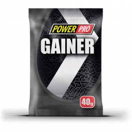 Power Pro Gainer 40 g /пробник/ Лесная ягода