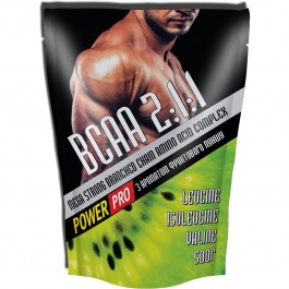 Power Pro BCAA 2:1:1 500 g /100 servings/ Фруктовый пунш