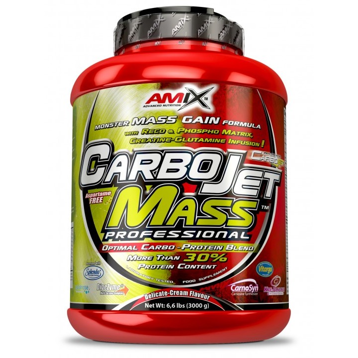 Amix CarboJet Mass Professional pwd. 3000 g /30 servings/ Forest Fruits - зображення 1