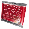 Scitec Nutrition 100% Whey Protein Professional 30 g /sample/ Kiwi Banana - зображення 1