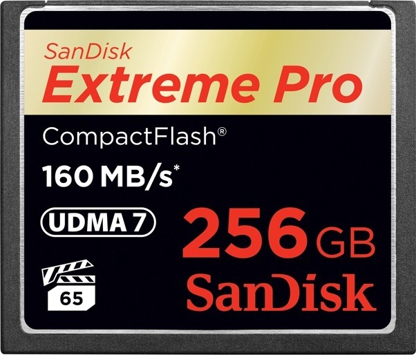SanDisk 256 GB Extreme Pro CompactFlash SDCFXPS-256G-X46 - зображення 1