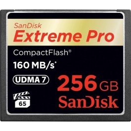 SanDisk 256 GB Extreme Pro CompactFlash SDCFXPS-256G-X46