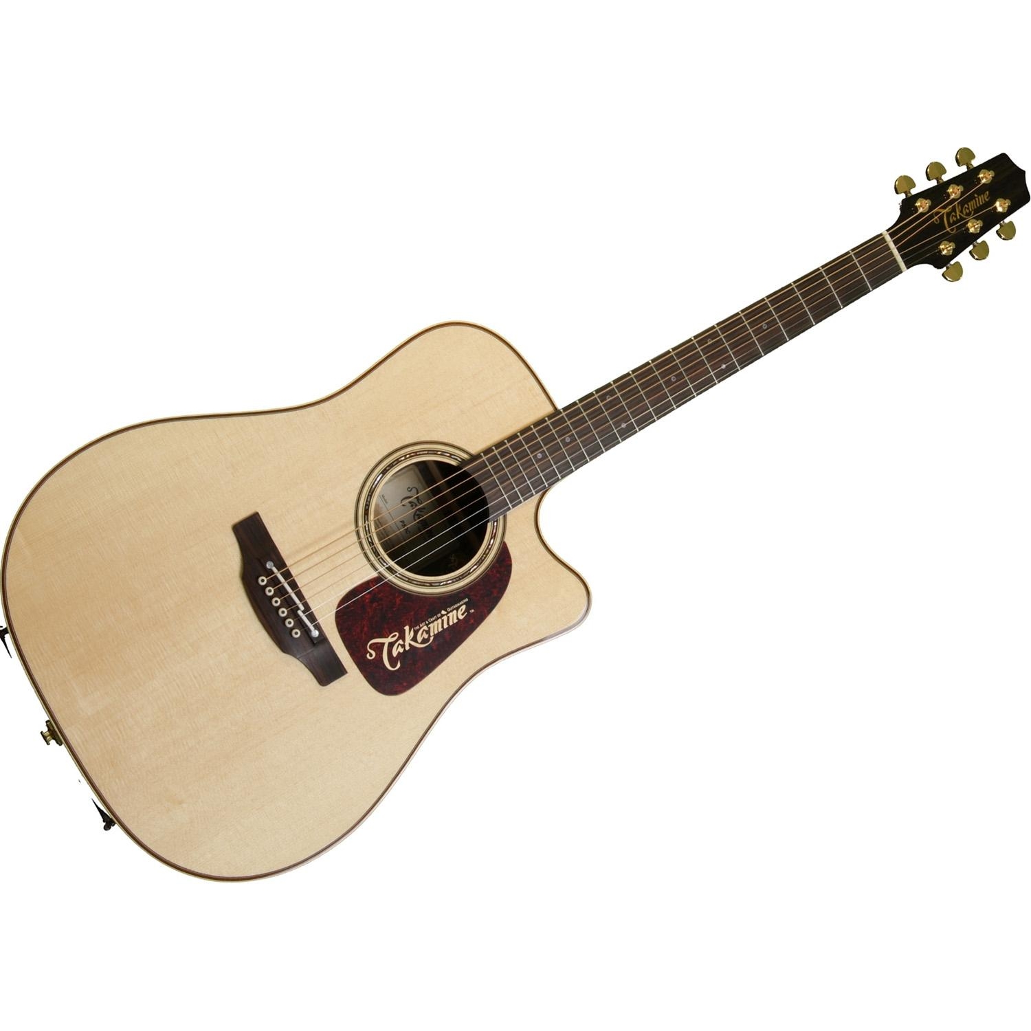 Takamine P5DC - зображення 1