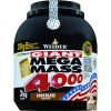 Weider Giant Mega Mass 4000 3000 g /20 servings/ Vanilla - зображення 1