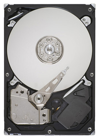 Seagate ST31000524NS - зображення 1