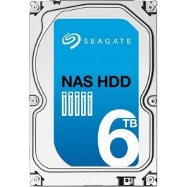 Seagate NAS HDD ST6000VN0021