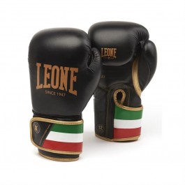 Leone Italy Boxing Gloves 12 oz (GN039-12)