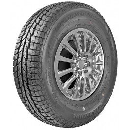 Powertrac Tyre Snowtour (205/60R16 96H)