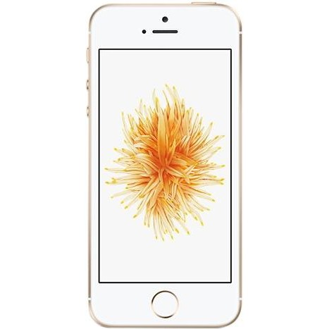 Apple iPhone SE 16GB Gold (MLXM2) - зображення 1