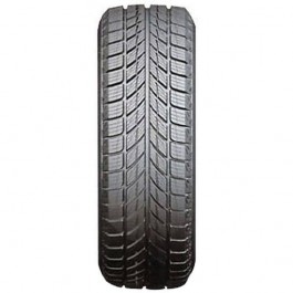 Horizon Tire HW505 (255/55R20 107H)