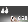 MiLight LED Dual White подвійний білий 6W (LL017-CWW) - зображення 3