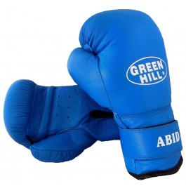 Green Hill Boxing Gloves Abid 10 oz (BGA-2024-10)