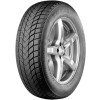 Zeta Antarctica 5 (225/45R17 94V) - зображення 1