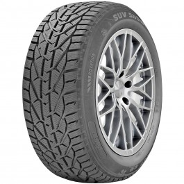 Riken SUV Snow (215/70R16 100H)